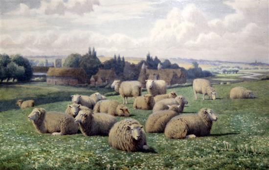 William Sidney Cooper (1854-1927) Sheep in a Kentish meadow, 12.5 x 19.5in.